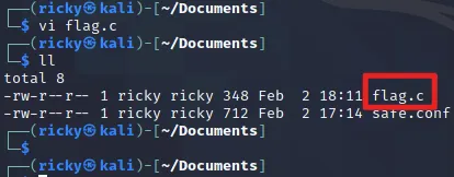 image-20210202181124322