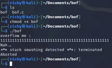 image-20210203034841156