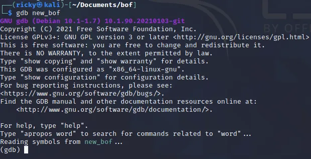 image-20210203151452780